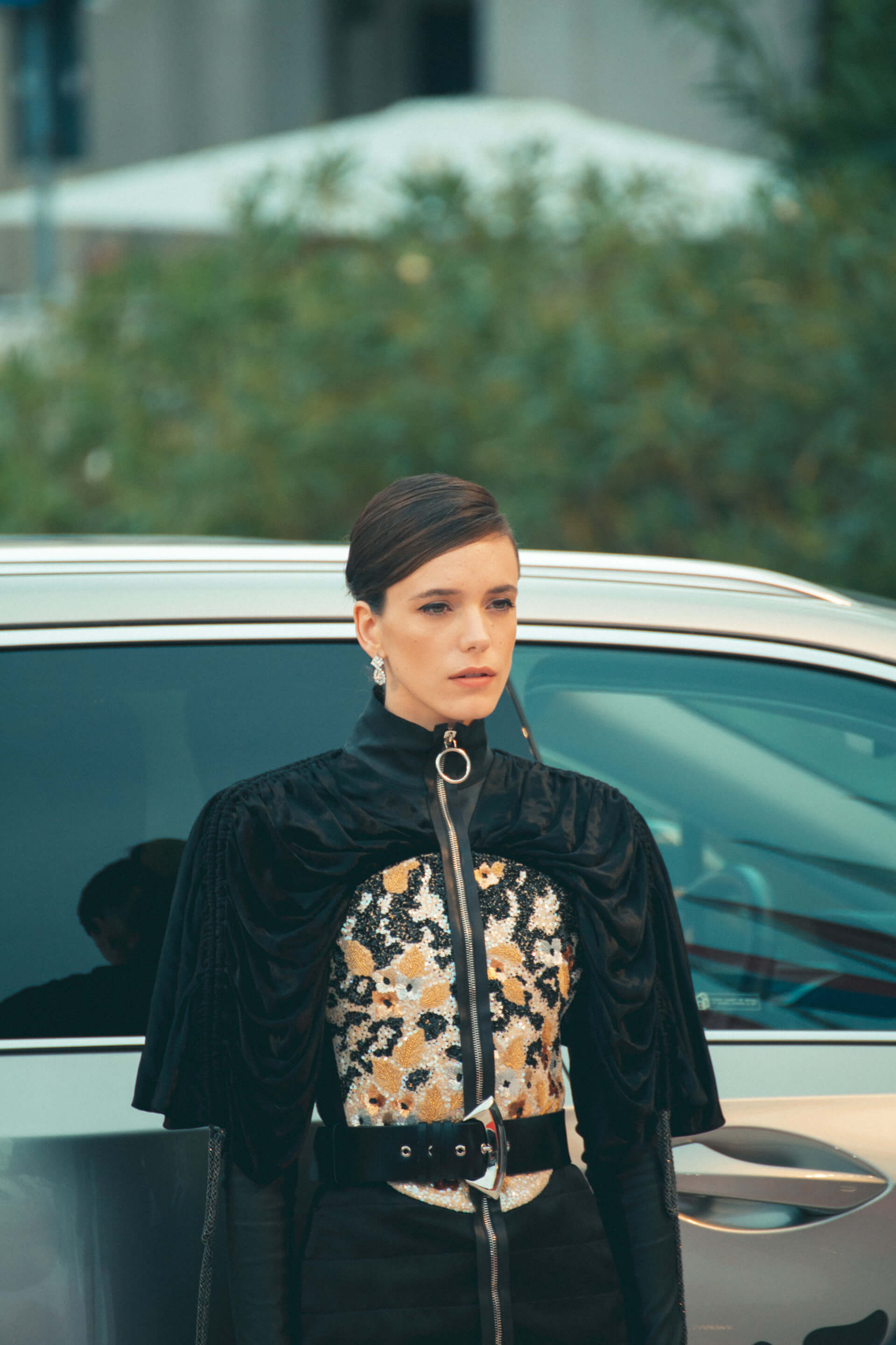 Venezia 76 Red Carpet