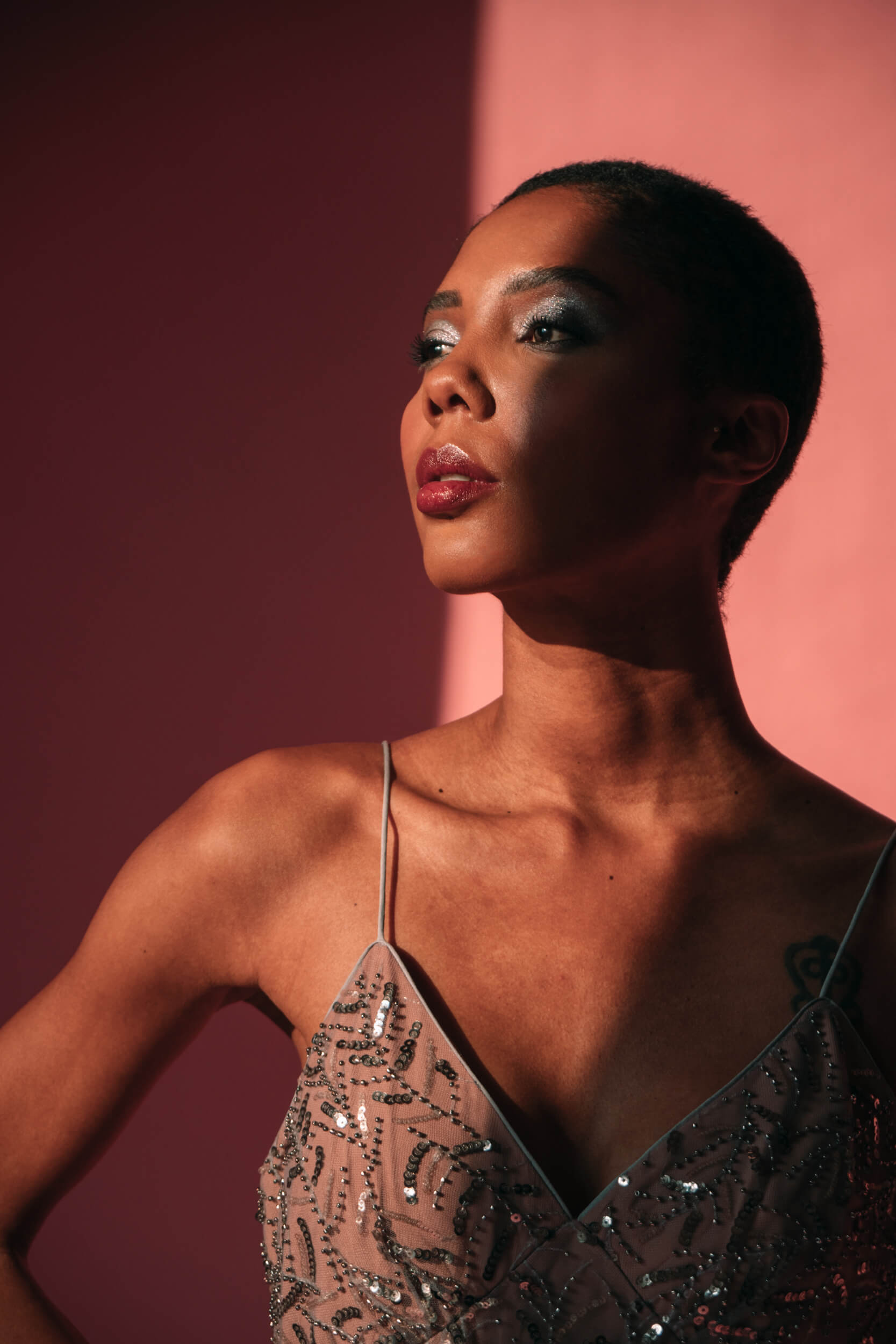 TIR_P-51 Pink Beauty Editorial