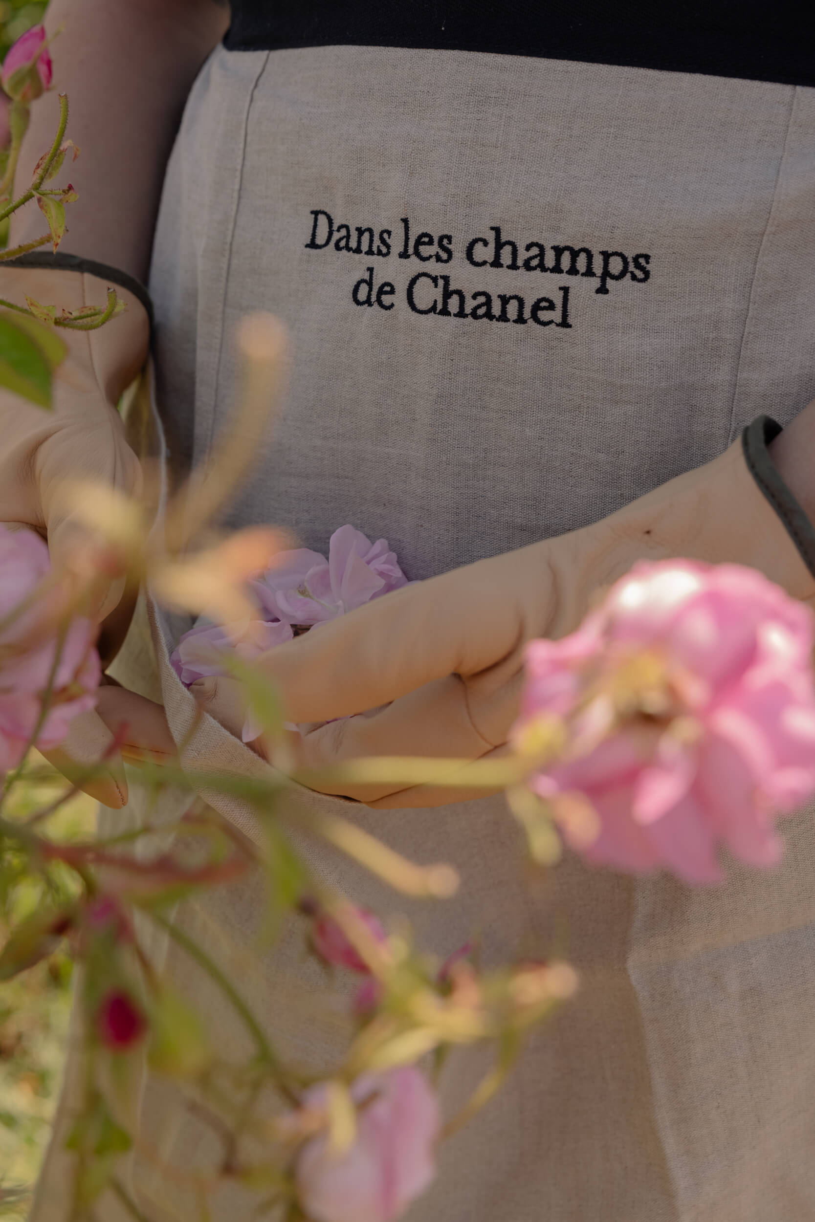 The May Rose: A Travel Journal with Chanel – The Italian Rêve