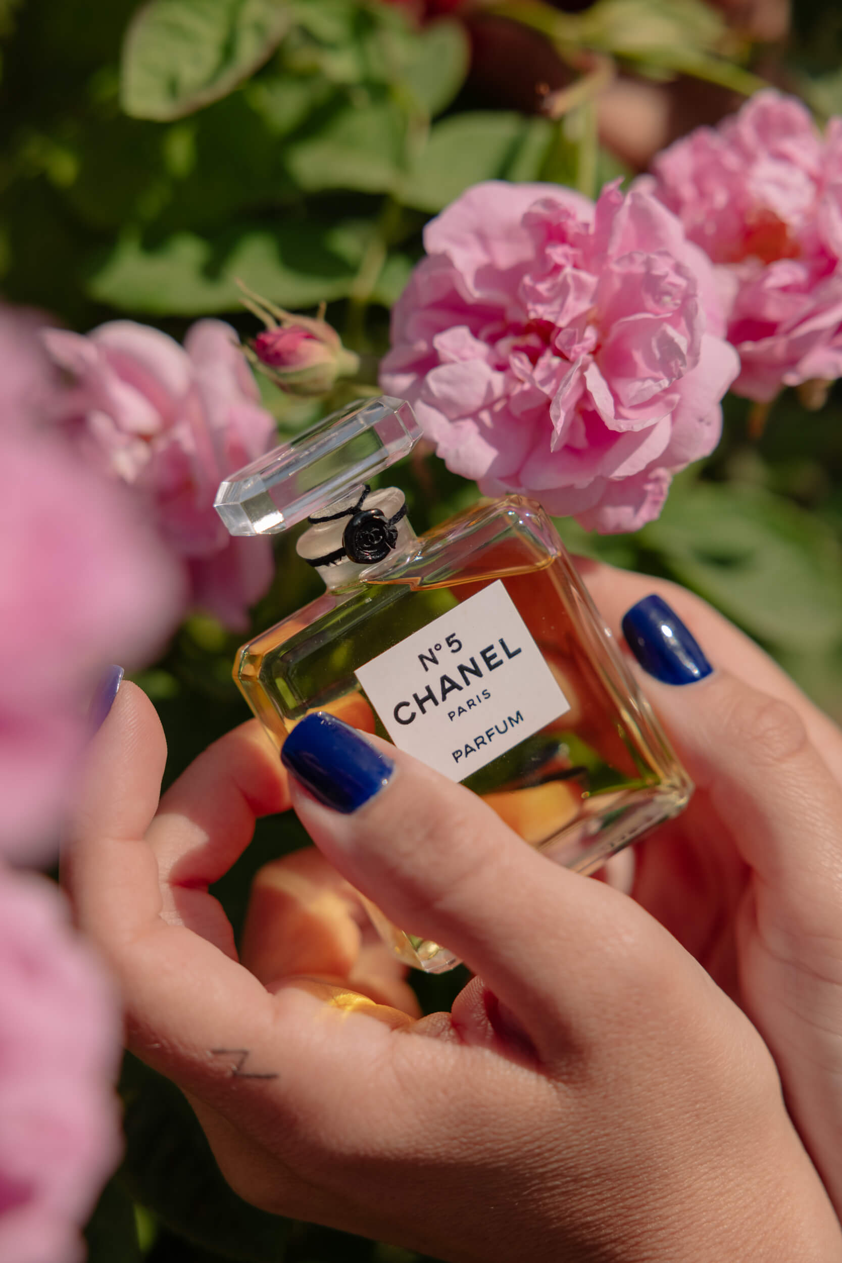 The May Rose: A Travel Journal with Chanel – The Italian Rêve