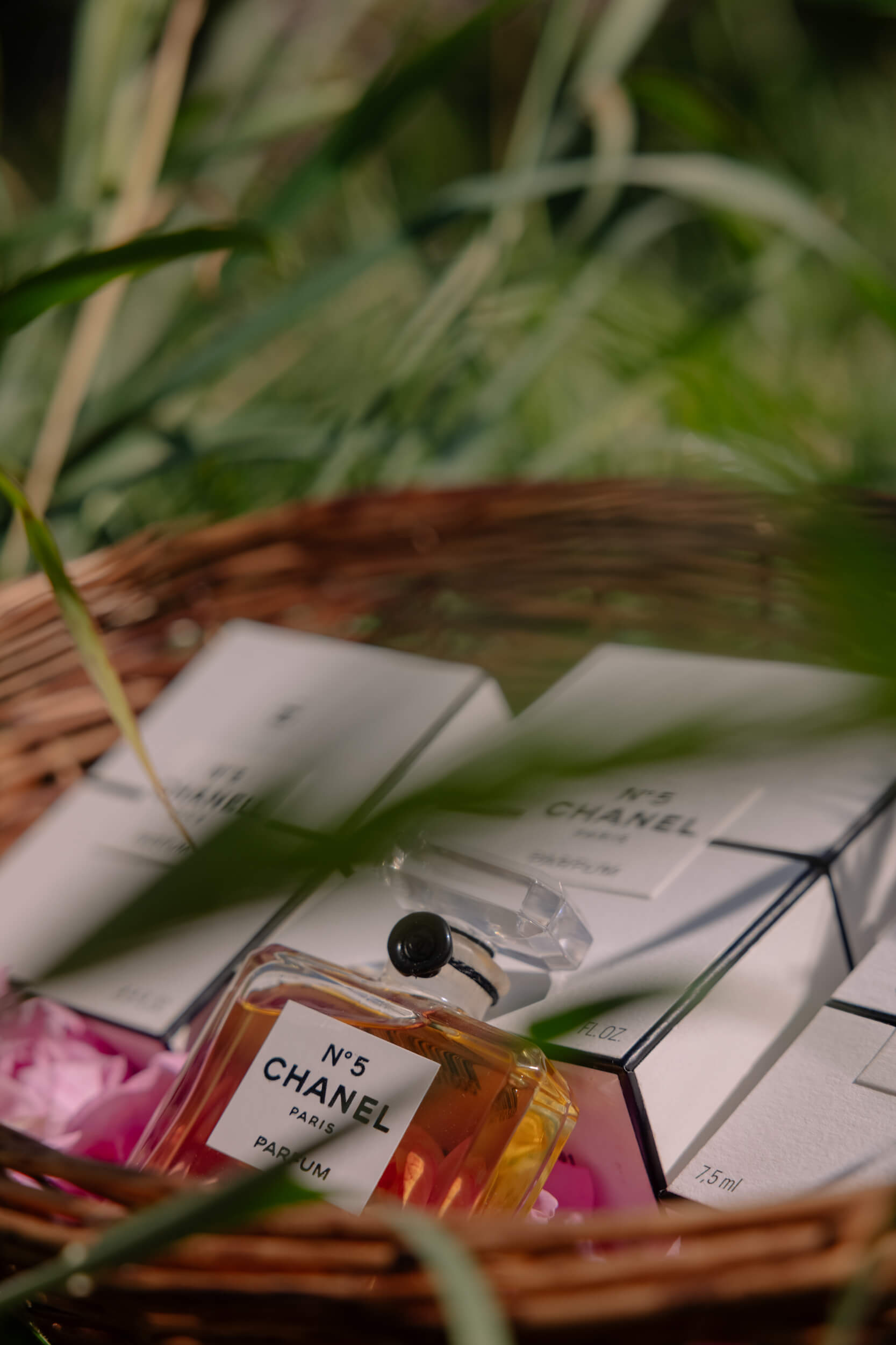 The May Rose: A Travel Journal with Chanel – The Italian Rêve