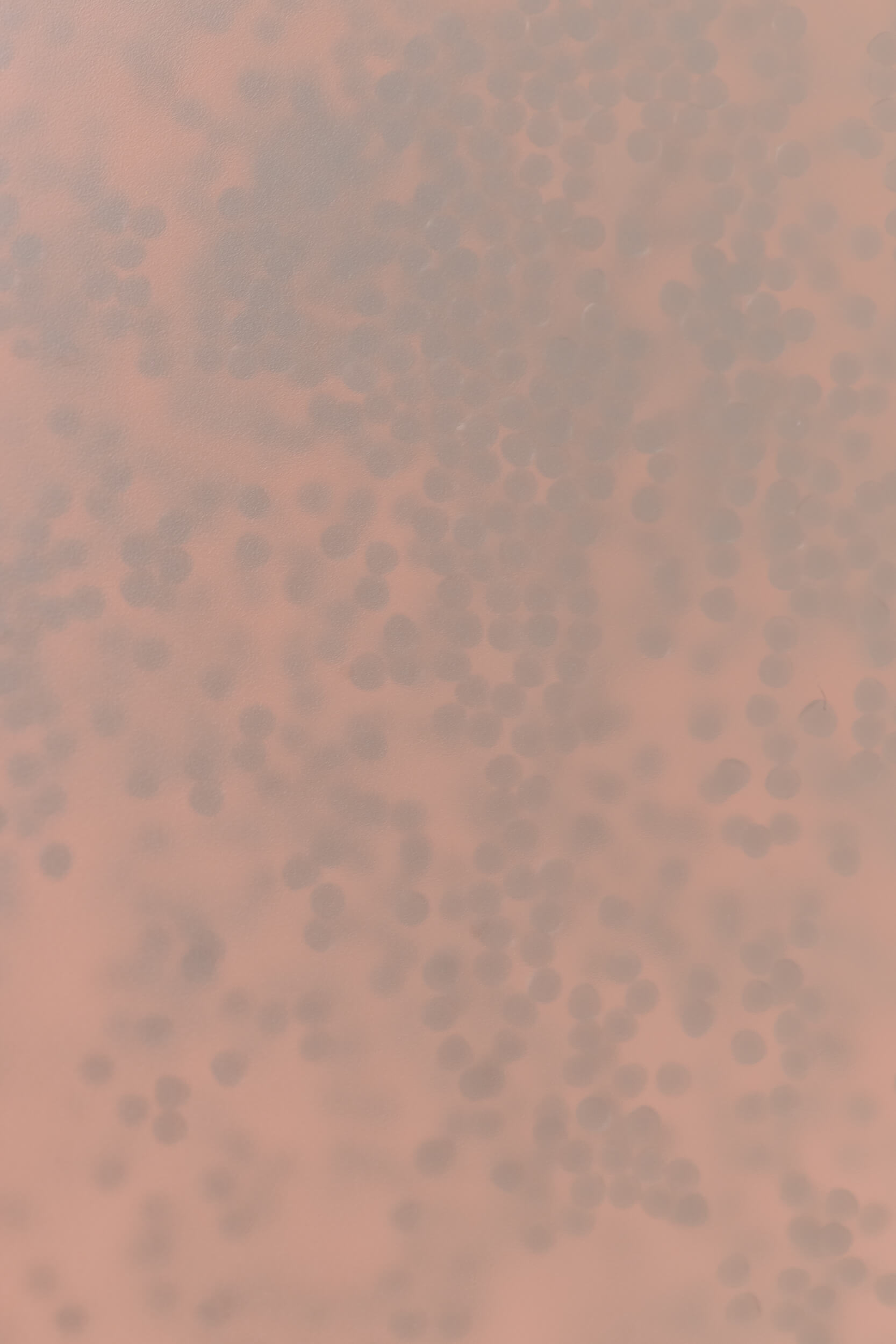 TIR_EM-42