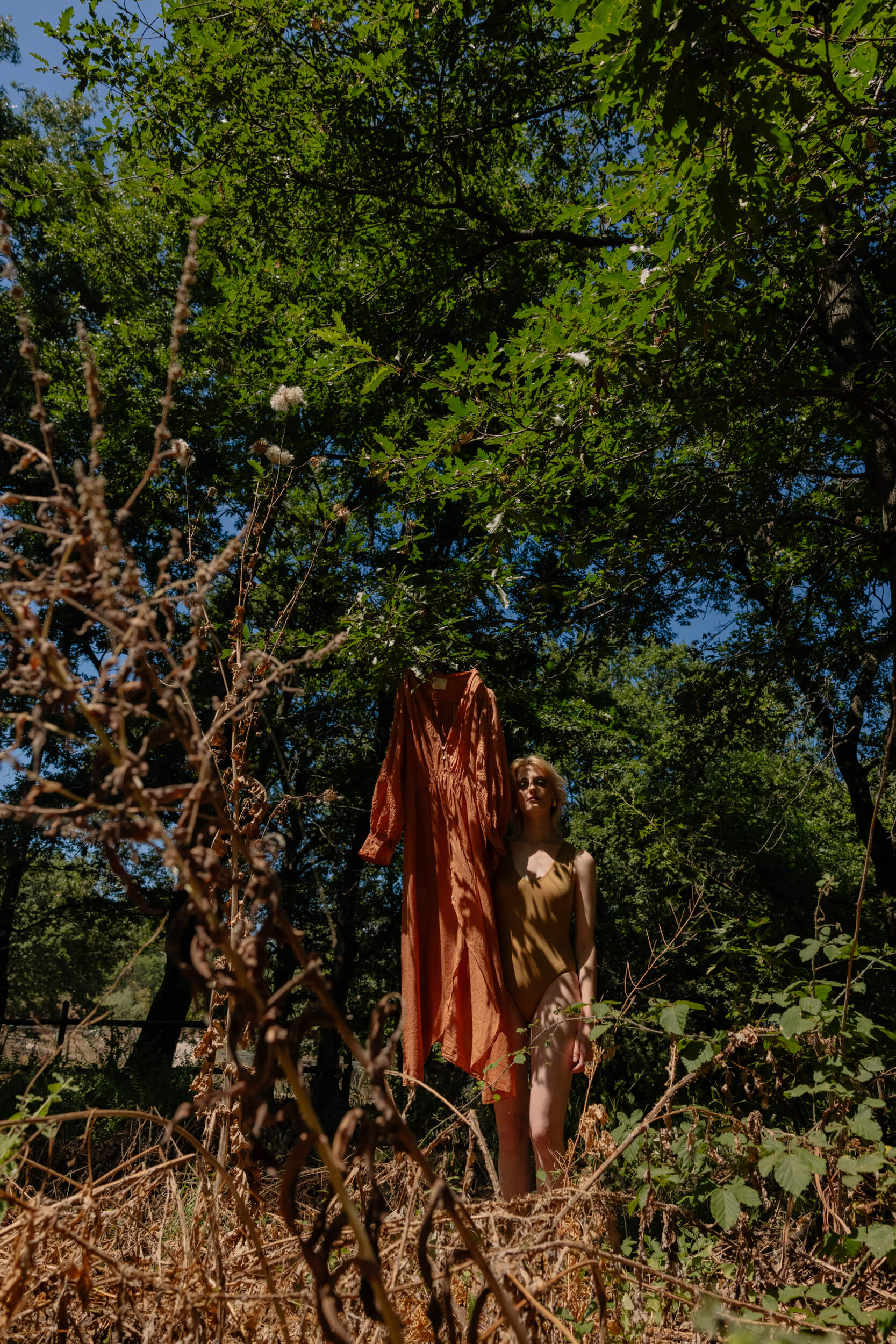 TIR_D-53 Demetra bellina intervista
