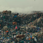 The Green Side: 4 Podcast e 4 Documentari Consigliati sulla Moda Sostenibile