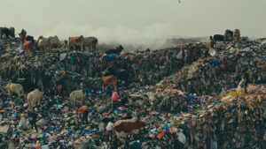 The Green Side: 4 Podcast e 4 Documentari Consigliati sulla Moda Sostenibile