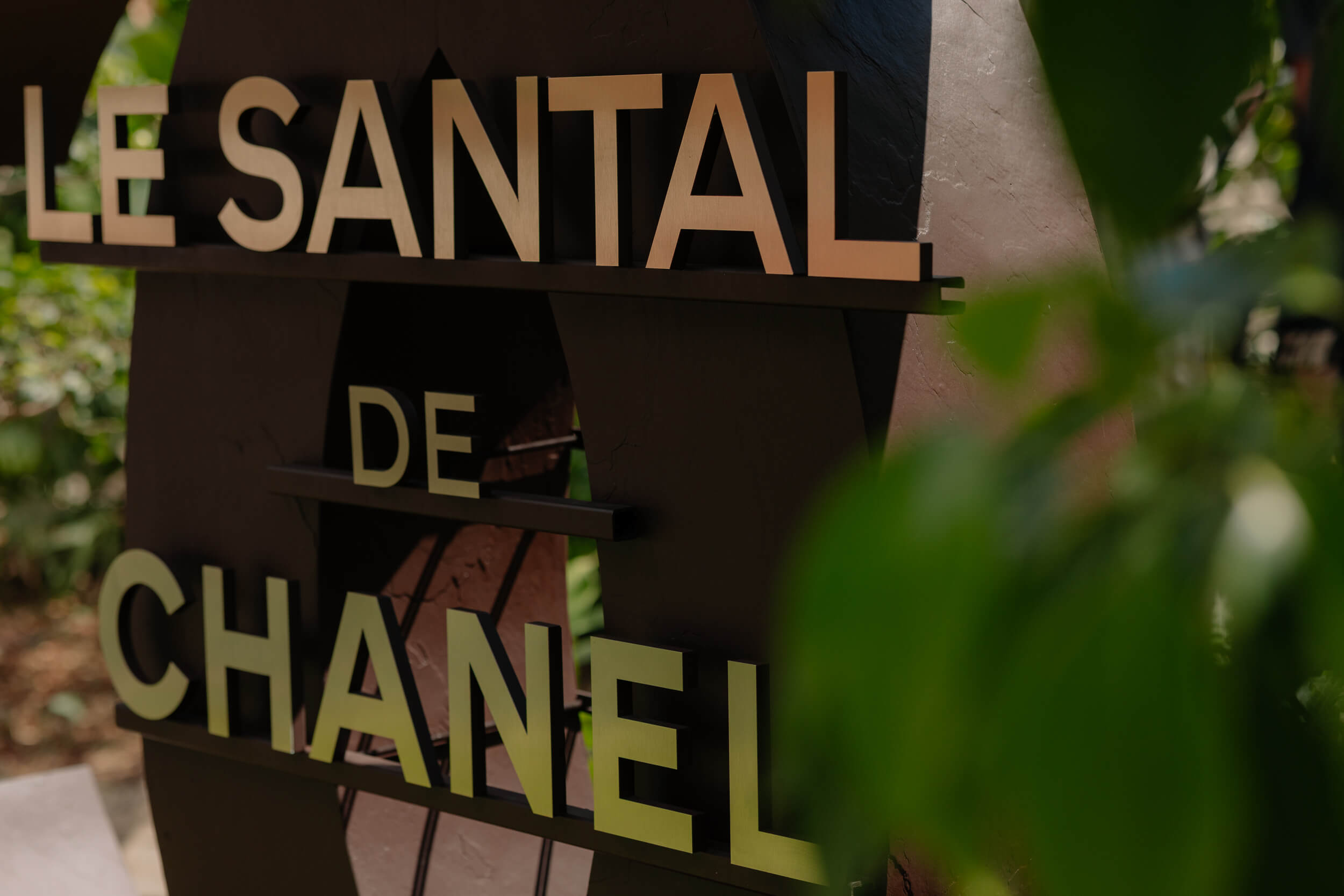 Le santal de chanel Le santal de chanel