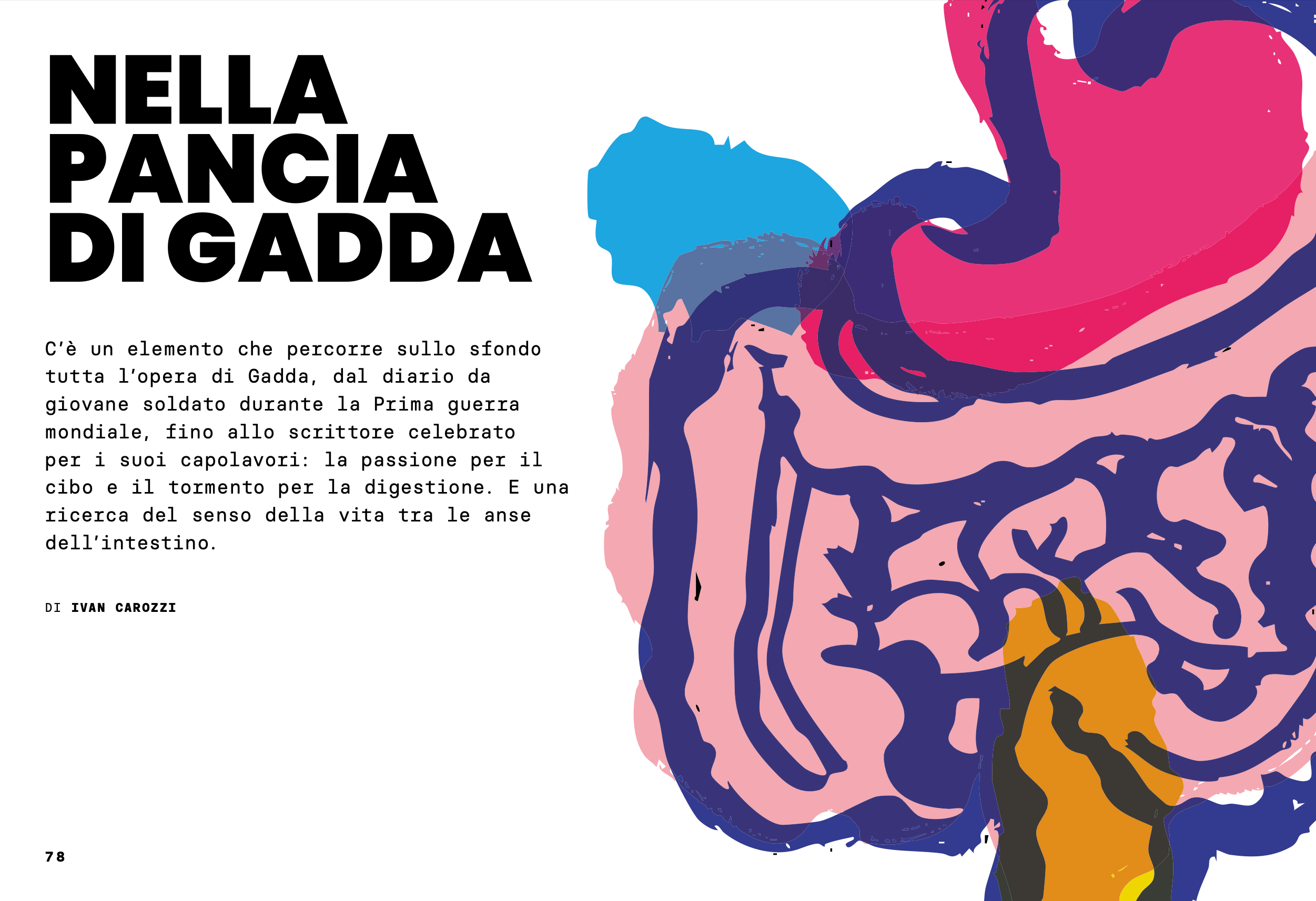 Nella pancia di Gadda