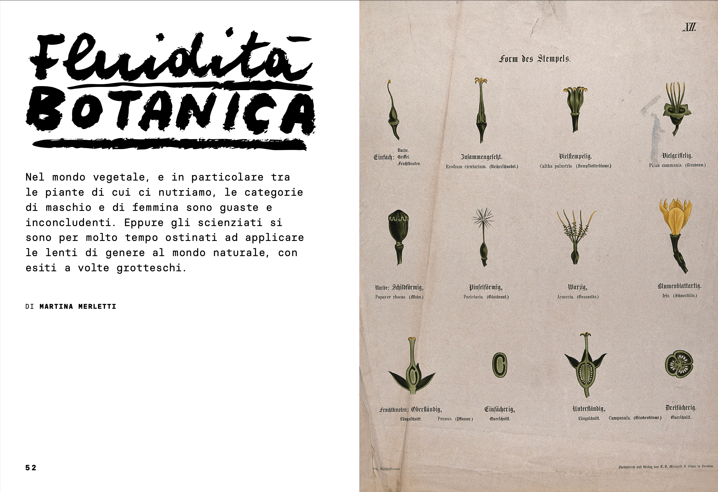 fluidità botanica