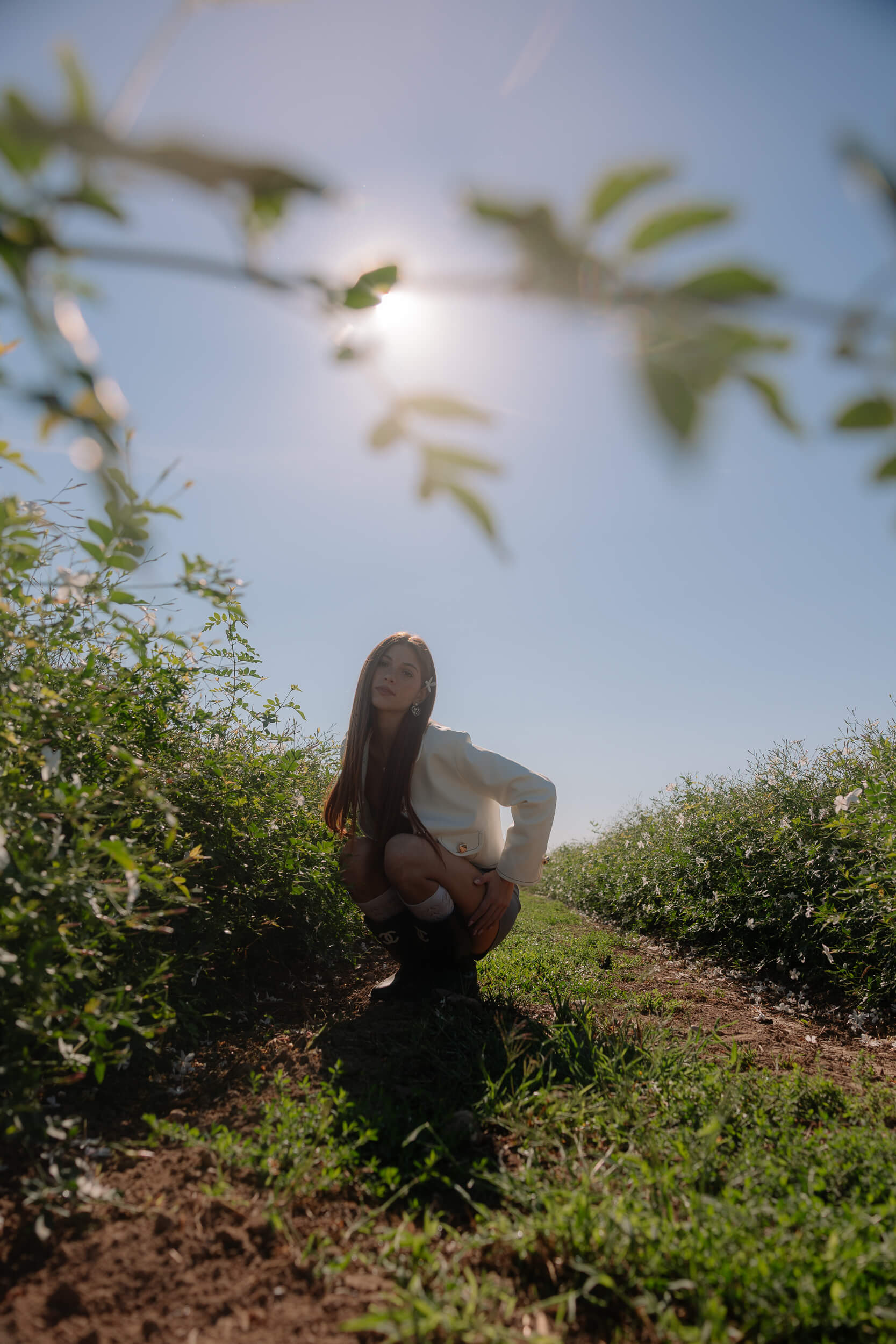 Jasmine tales