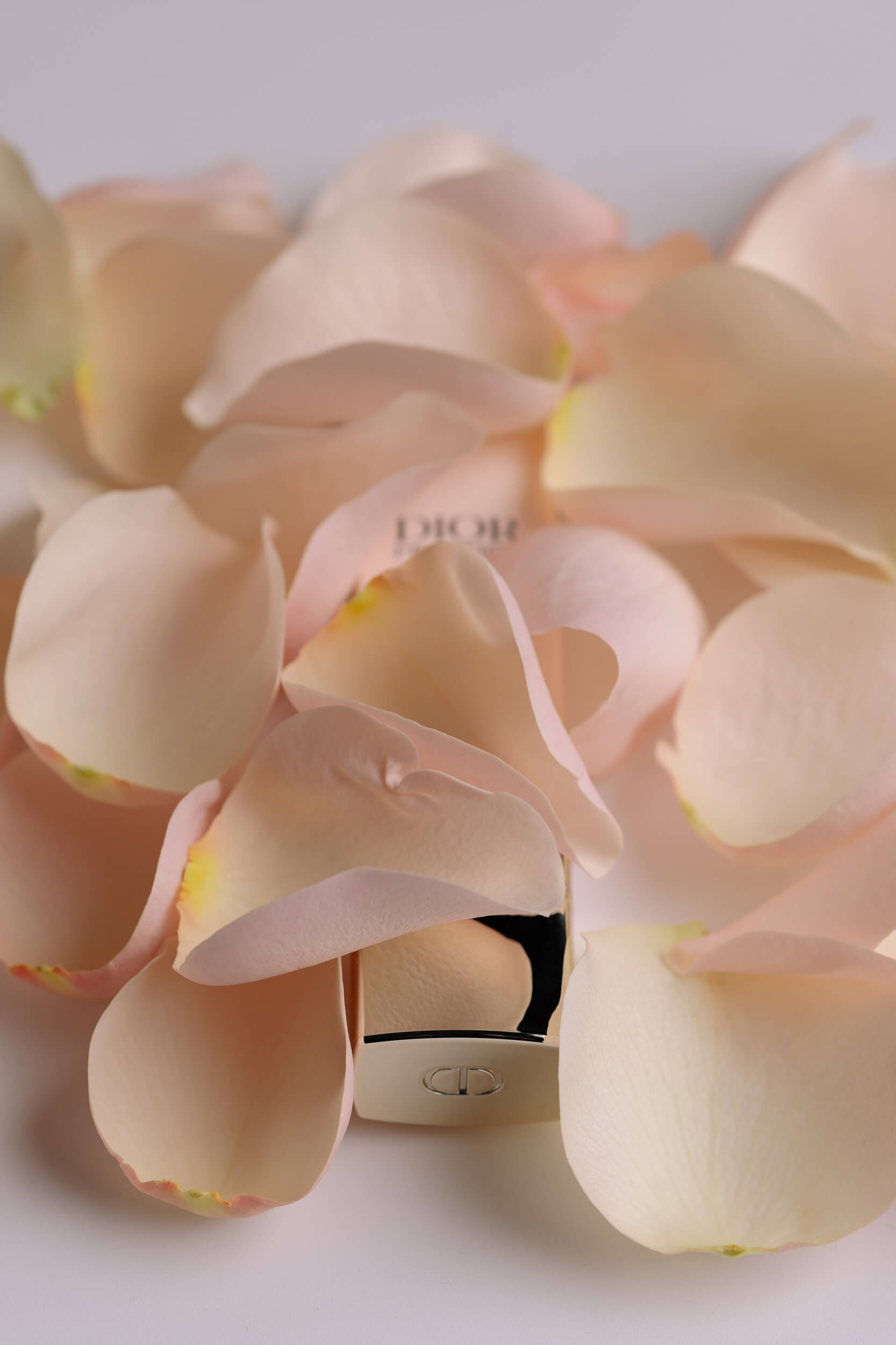 dior prestige