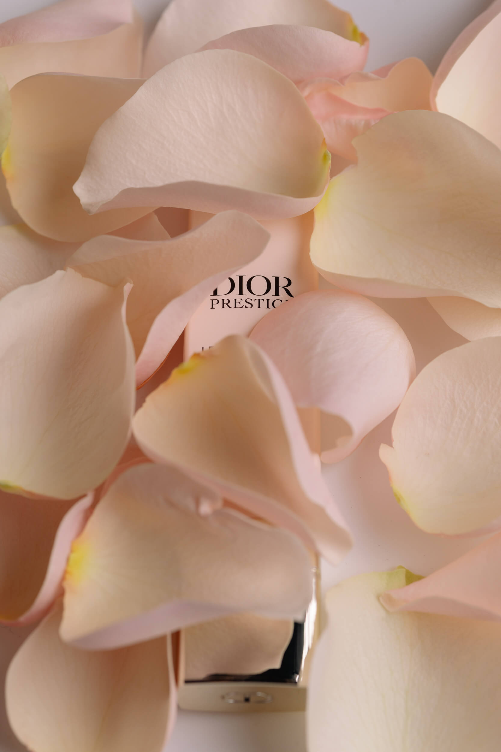 Dior prestige