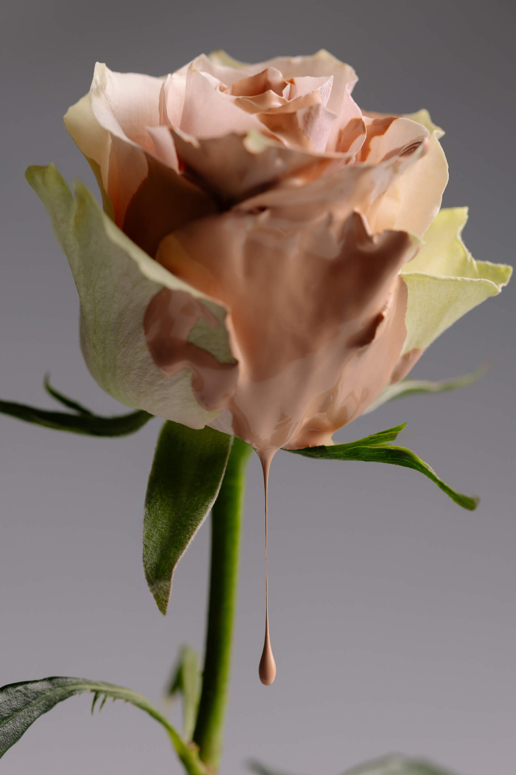dior prestige