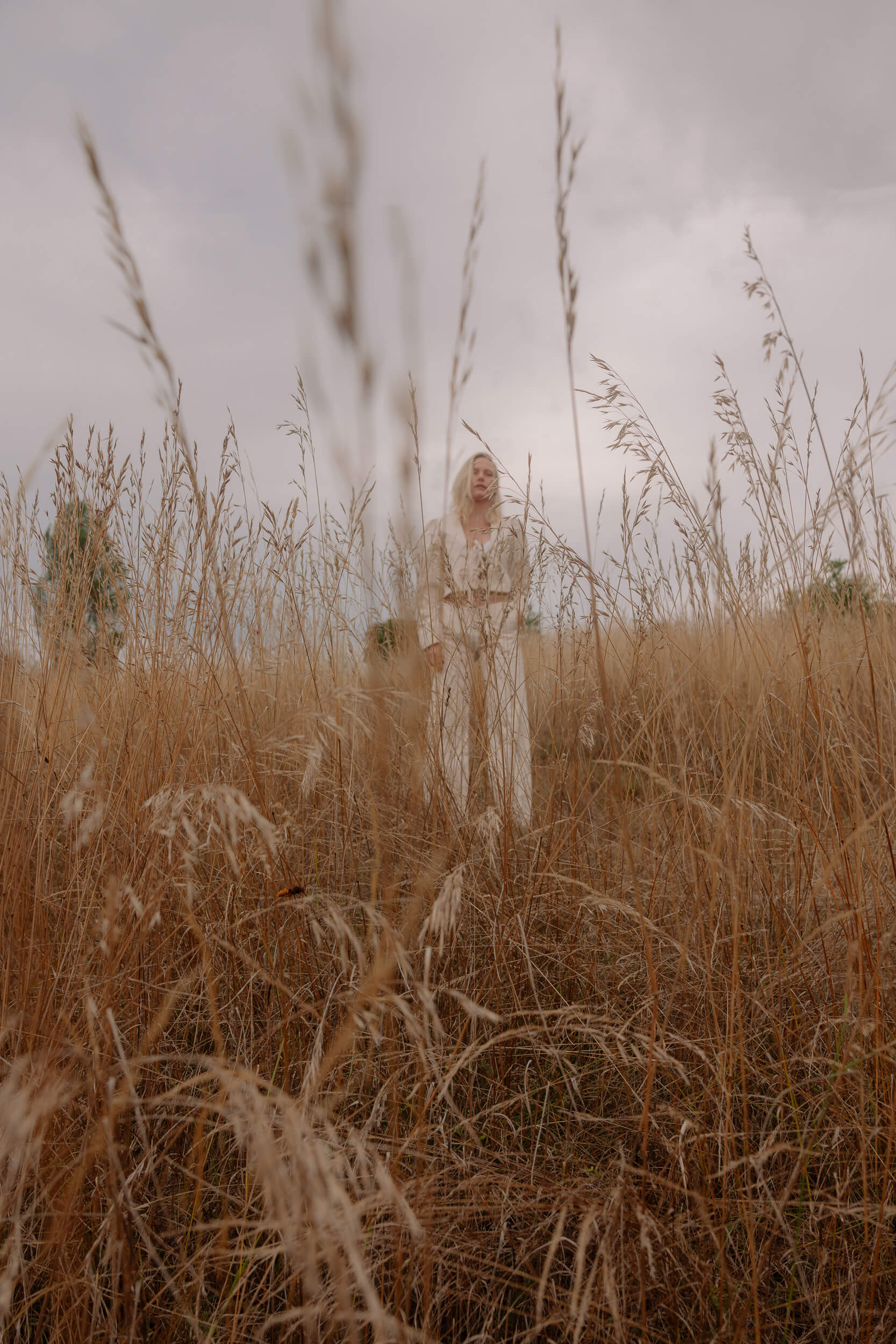 Laura birn interview