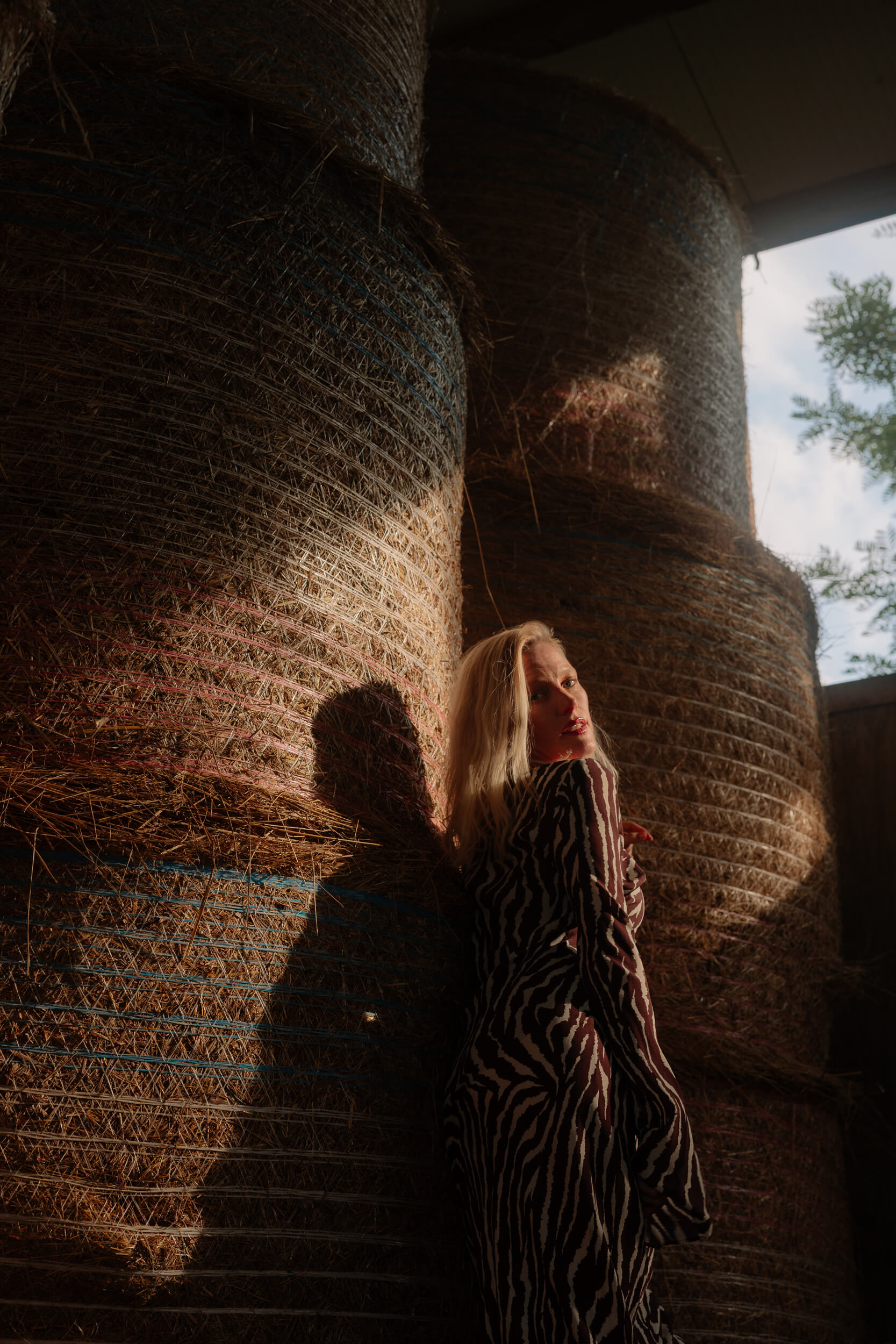 Laura birn interview