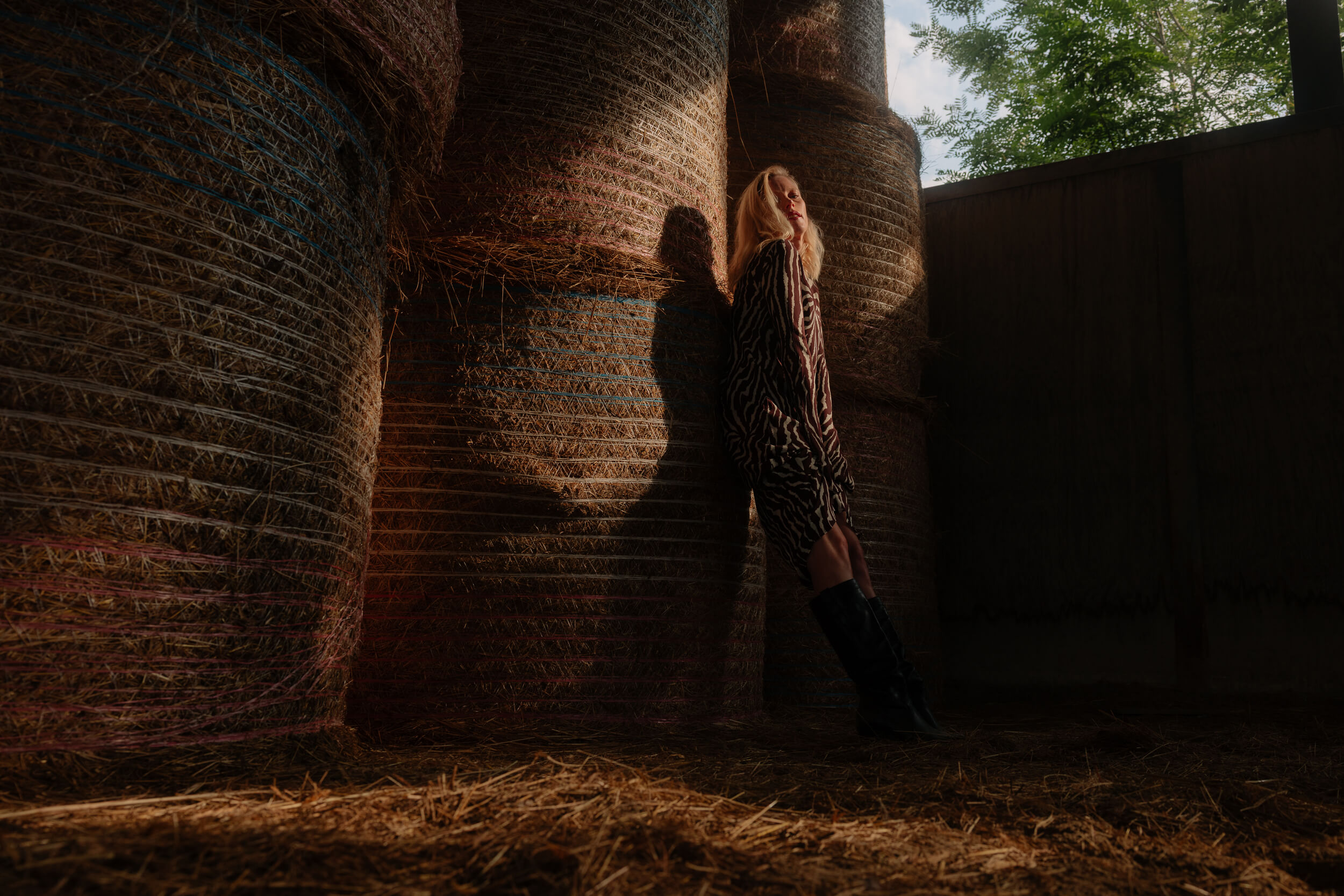 Laura birn interview