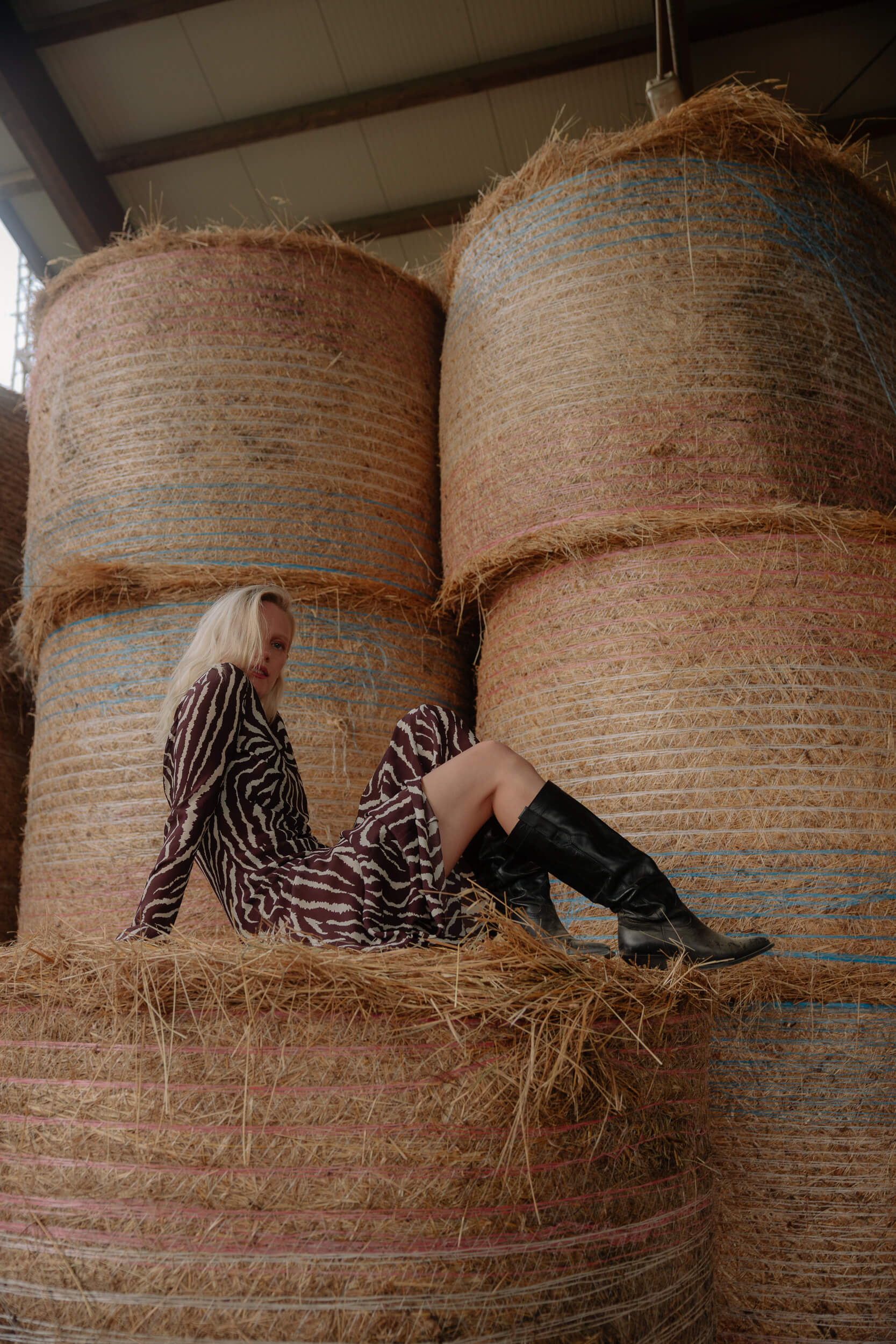Laura birn interview