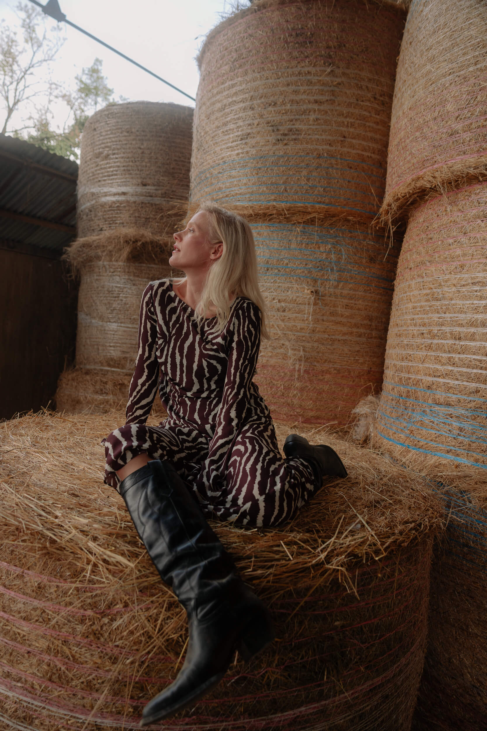 Laura birn interview