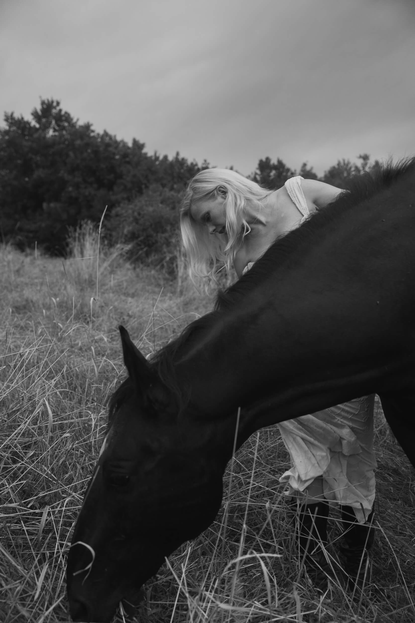 laura birn interview
