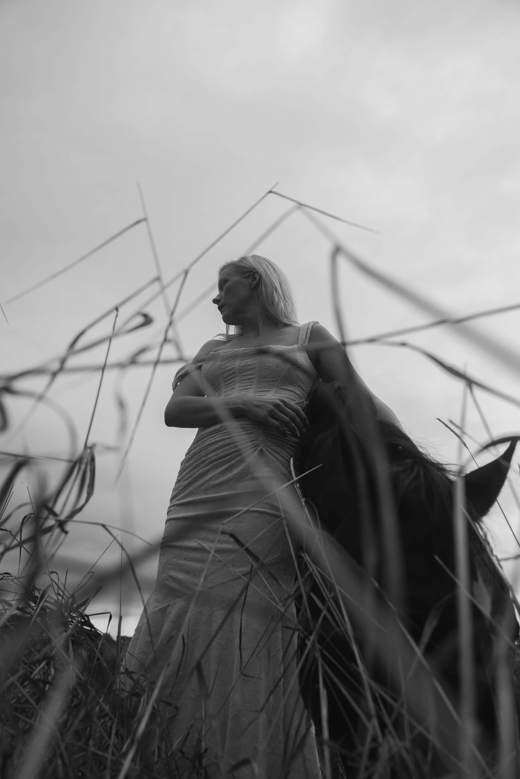 laura birn interview