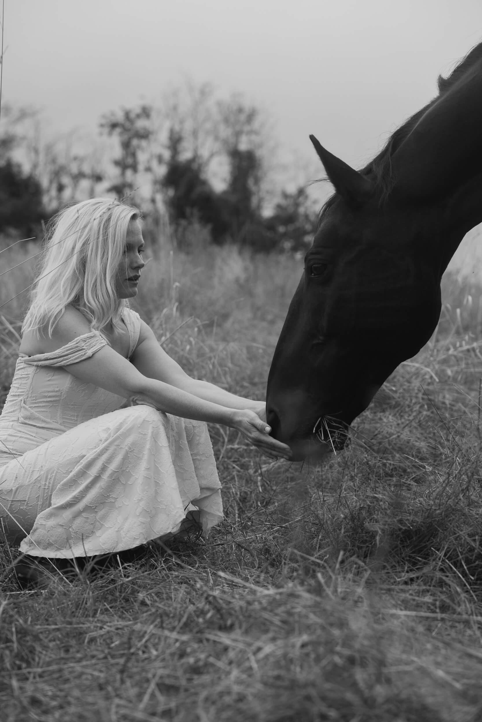 laura birn interview