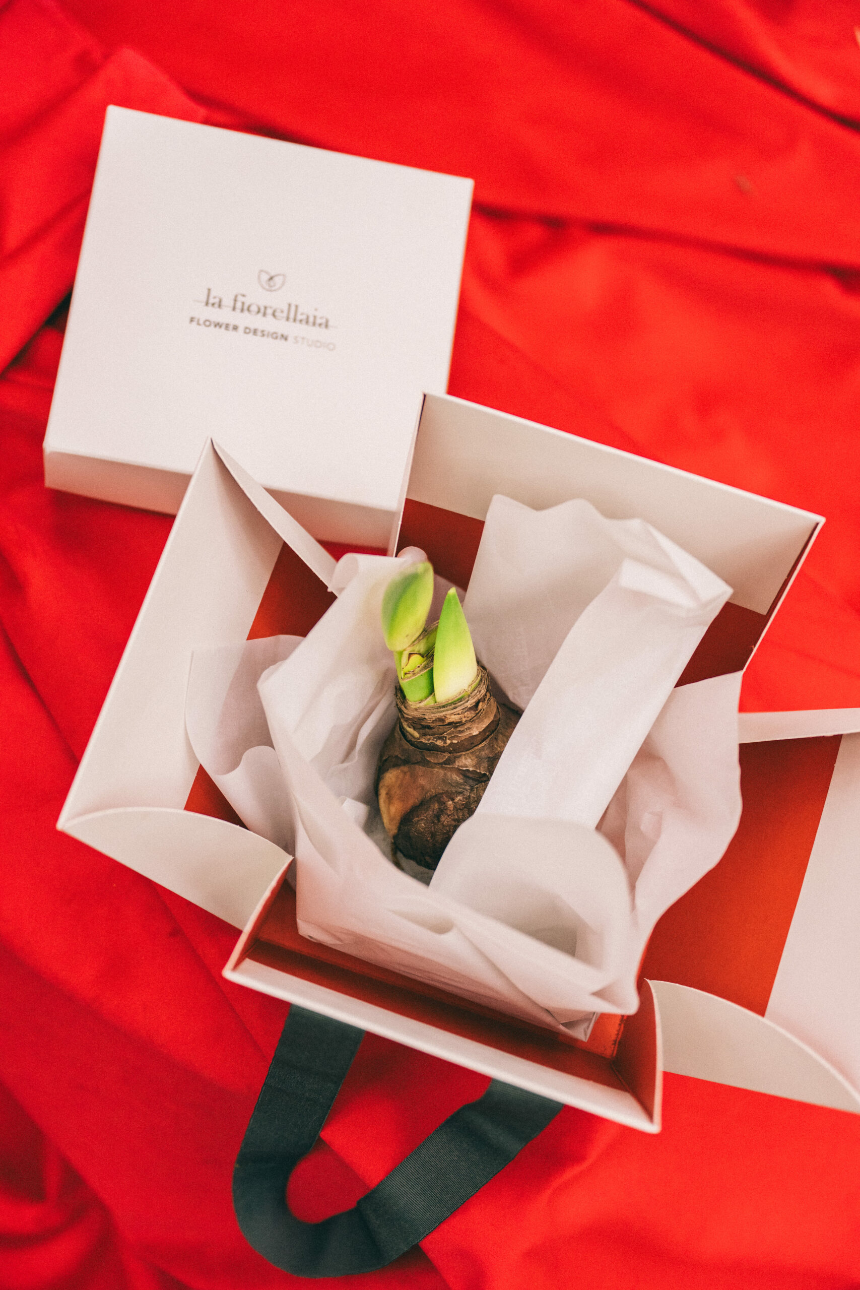 La Fiorellaia intervista