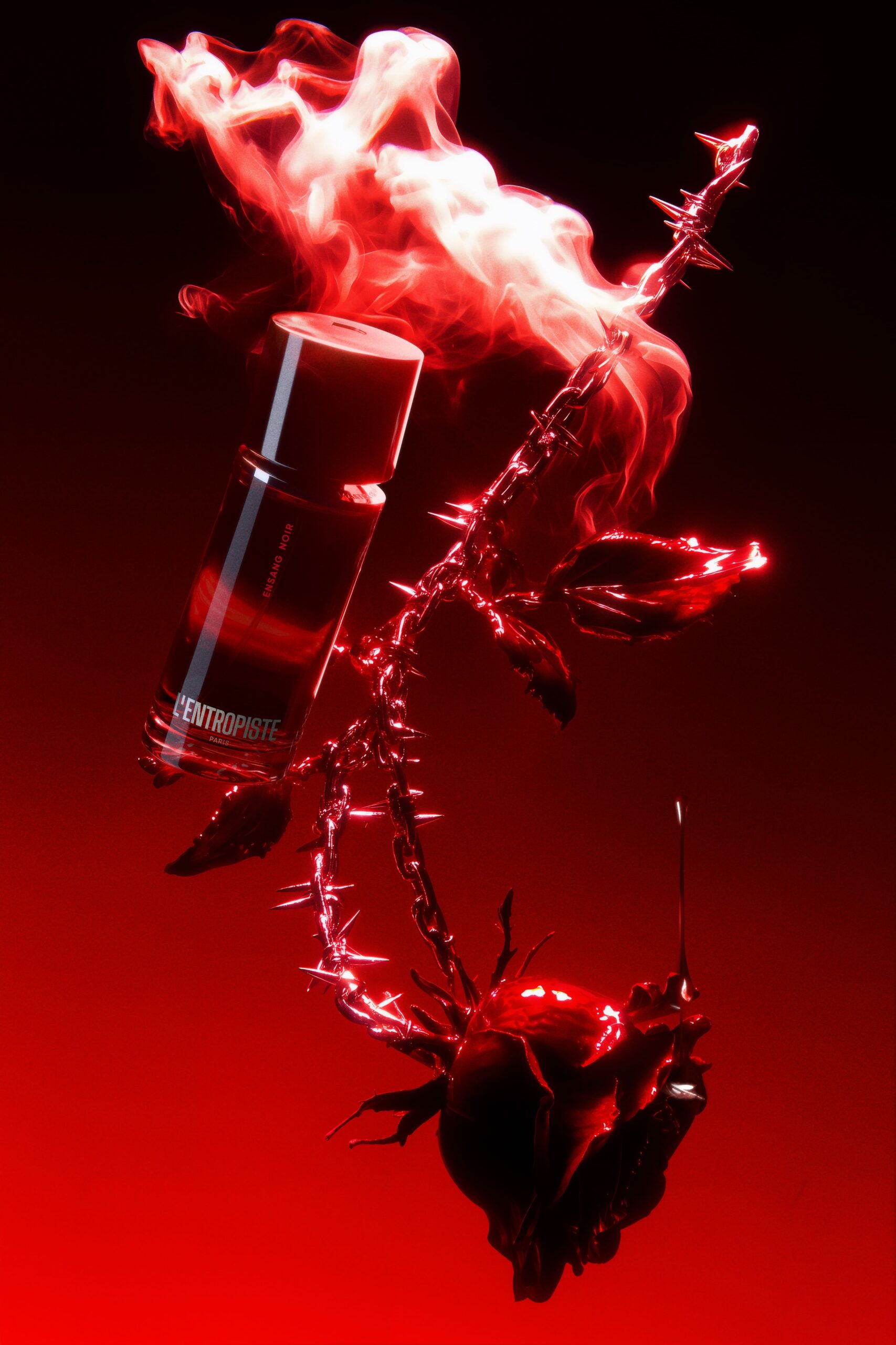 bn novembre bn novembre