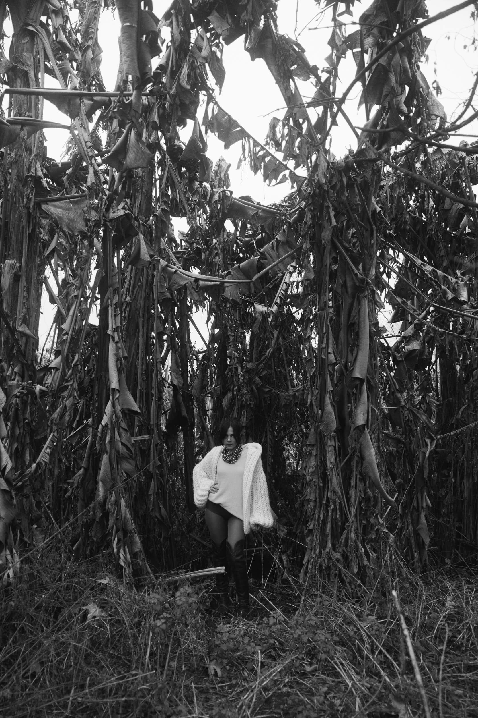 claudia tranchese intervista