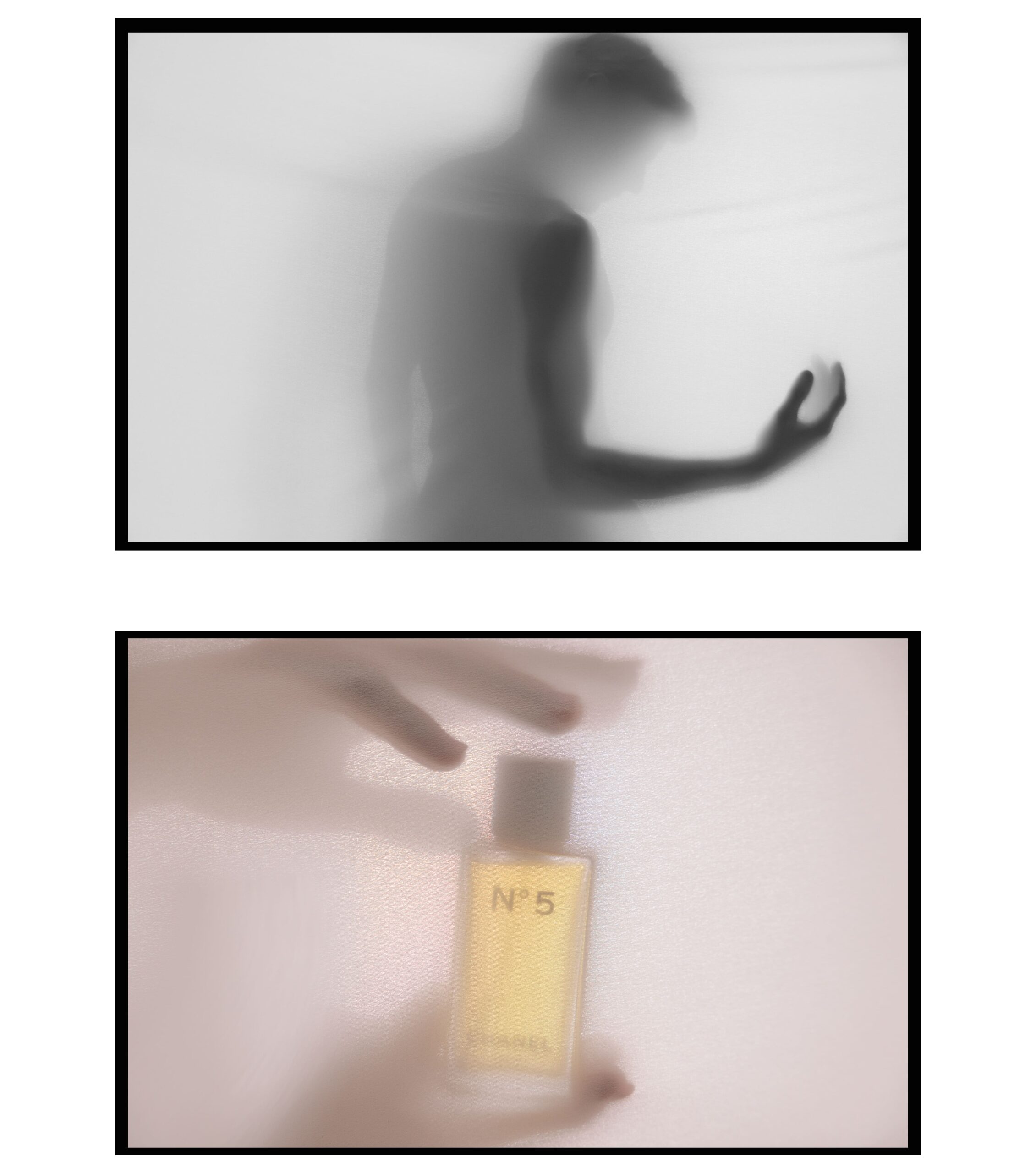 virna toppi e nicola del freo intervista