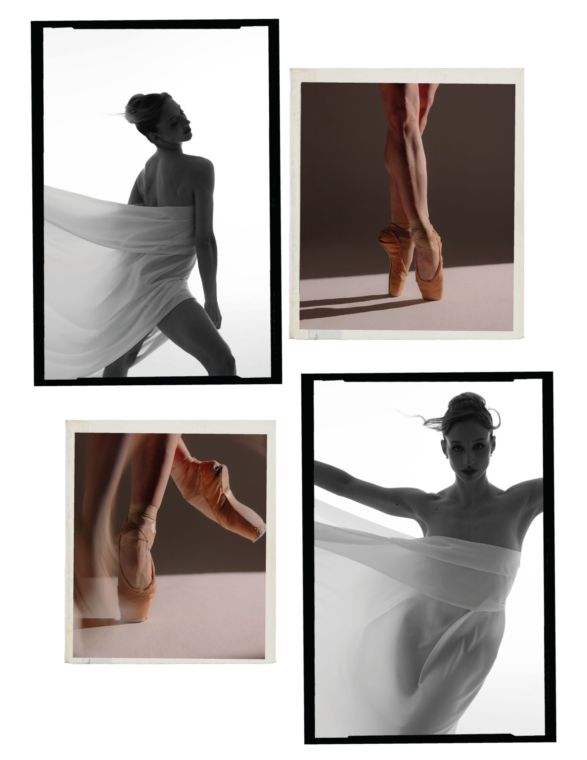 virna toppi e nicola del freo intervista