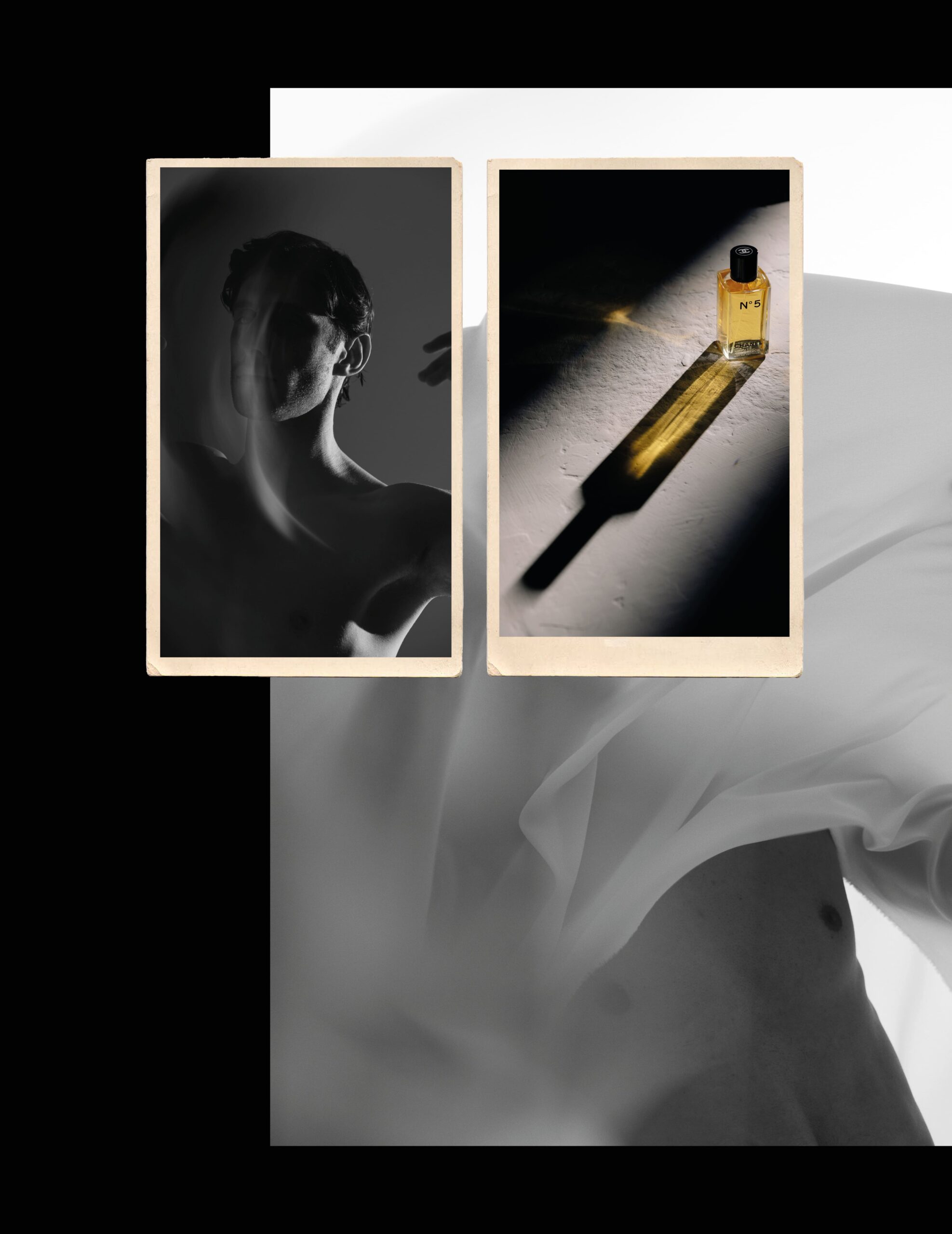 virna toppi e nicola del freo intervista