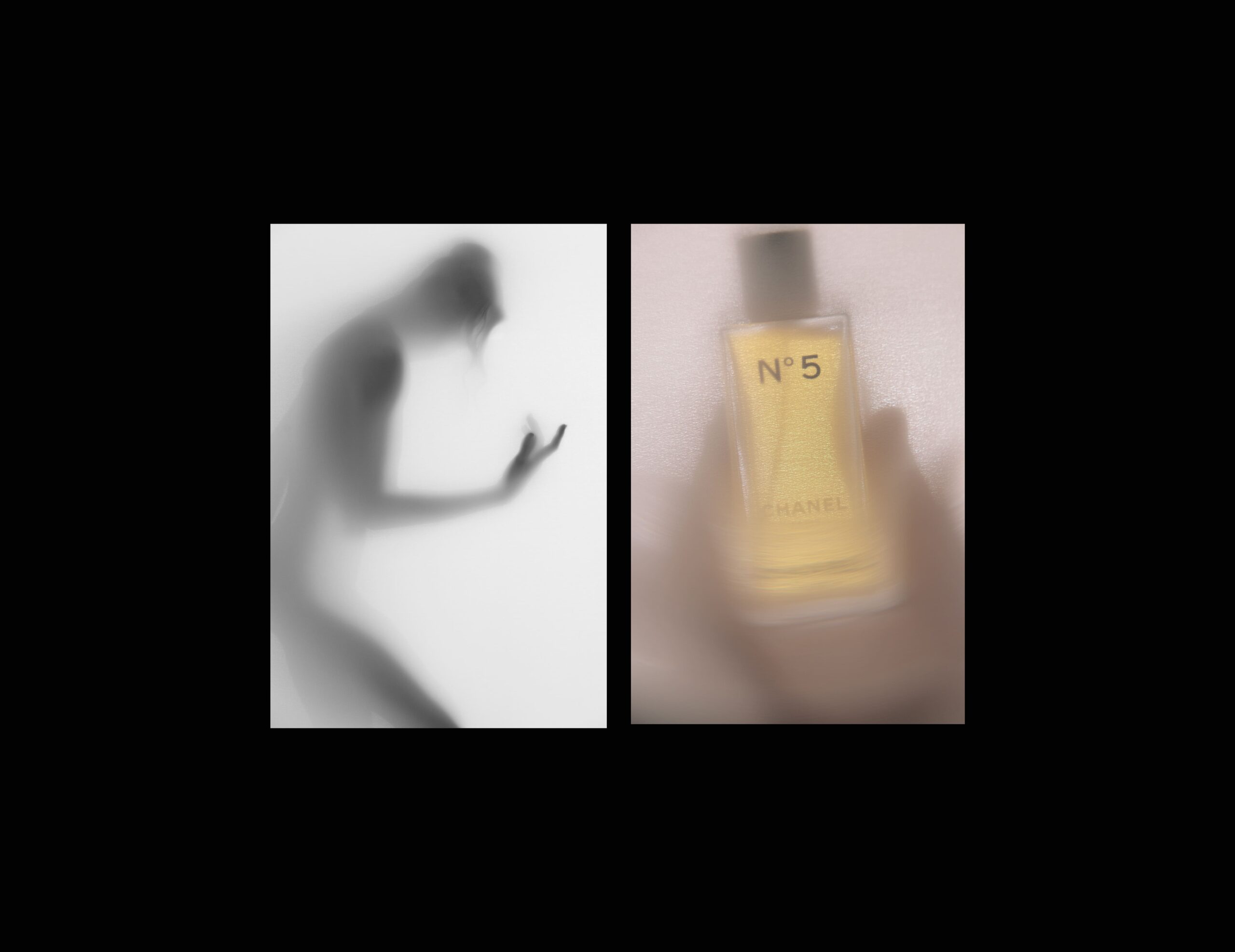 virna toppi e nicola del freo intervista