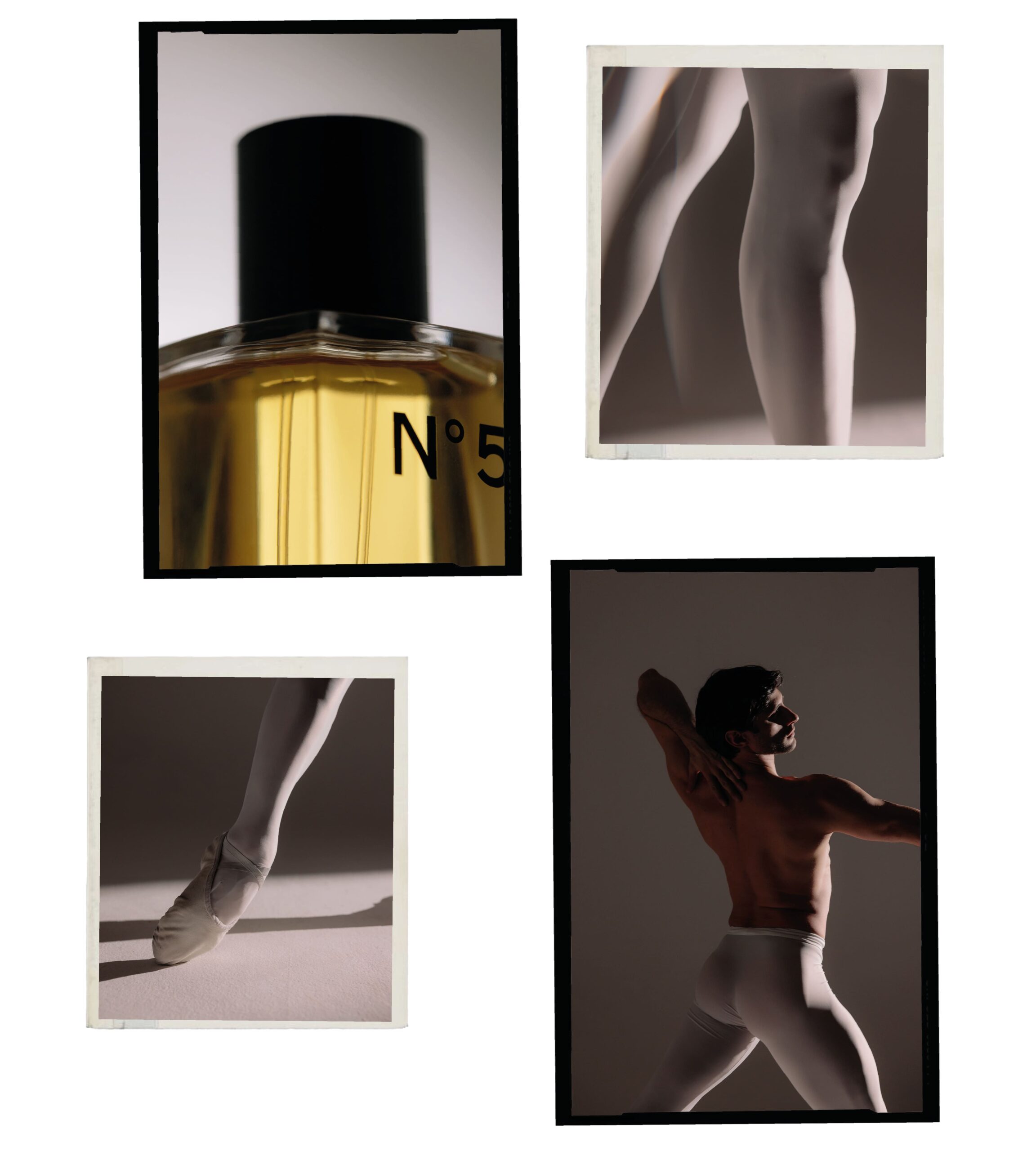 virna toppi e nicola del freo intervista