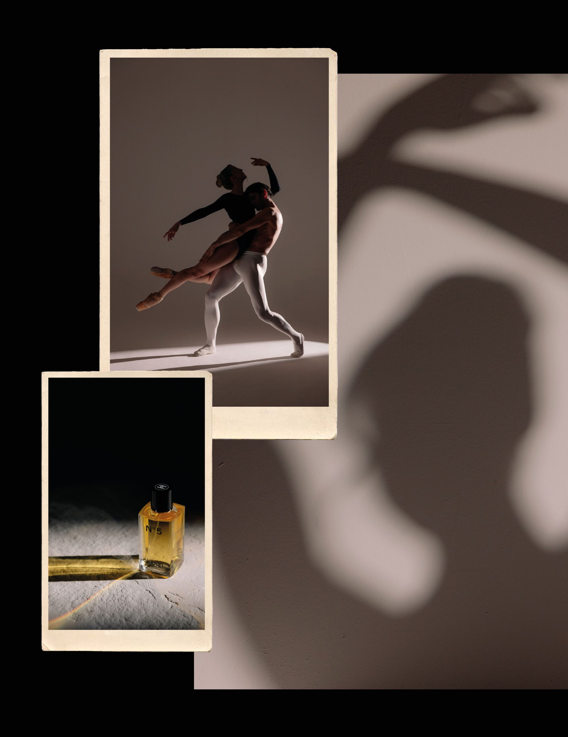 virna toppi e nicola del freo intervista