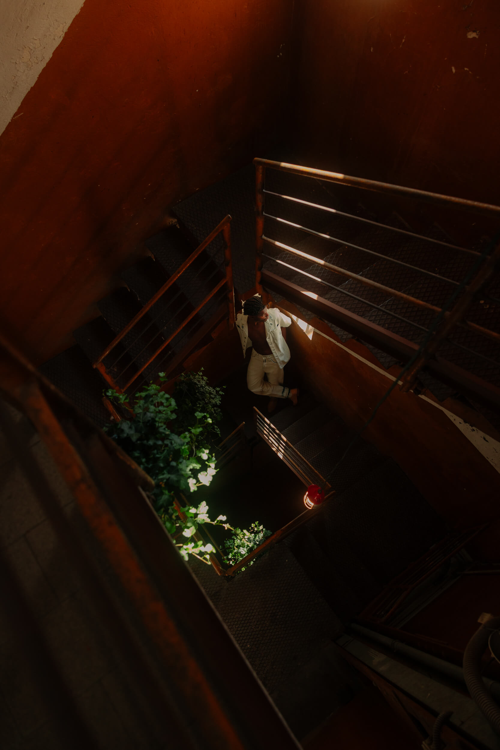 enrico tijani intervista